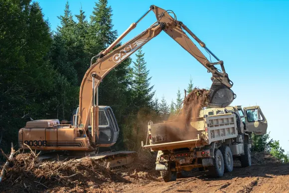 웜벳 카지노 지원